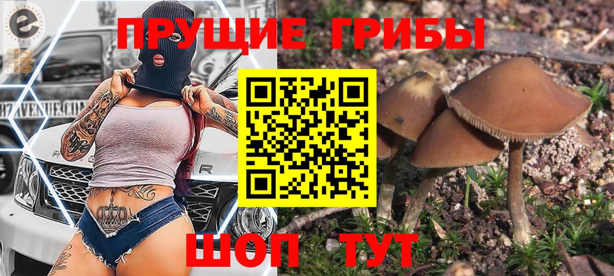 Усть-Илимск  Псилоцибиновые грибы Psilocybine cubensis  Вход с VPN  Галлюциногенные грибы прущие грибы 